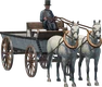 Horse Carriage — Overview