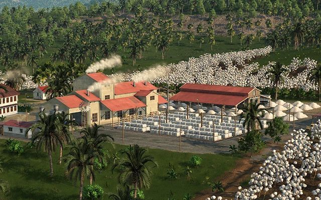 Cotton Farm