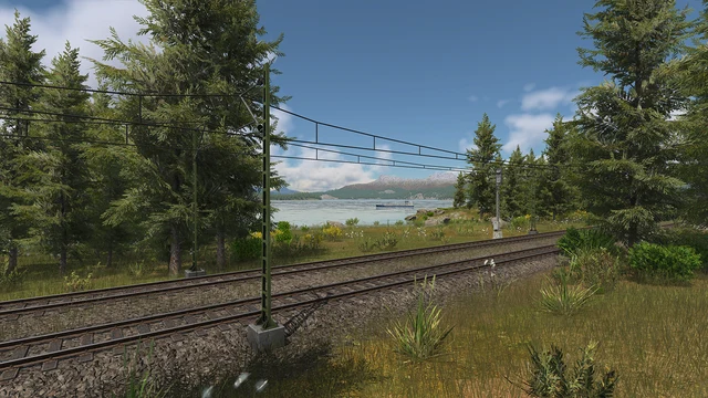 Railway tracks